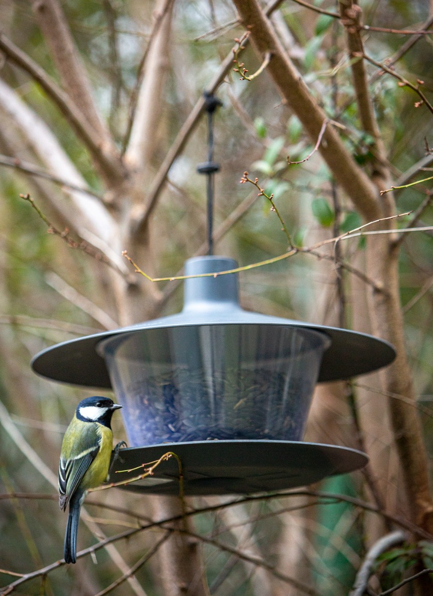 Vogelfutterhaus mit grauem Dach, dargestellt mit einer Meise.