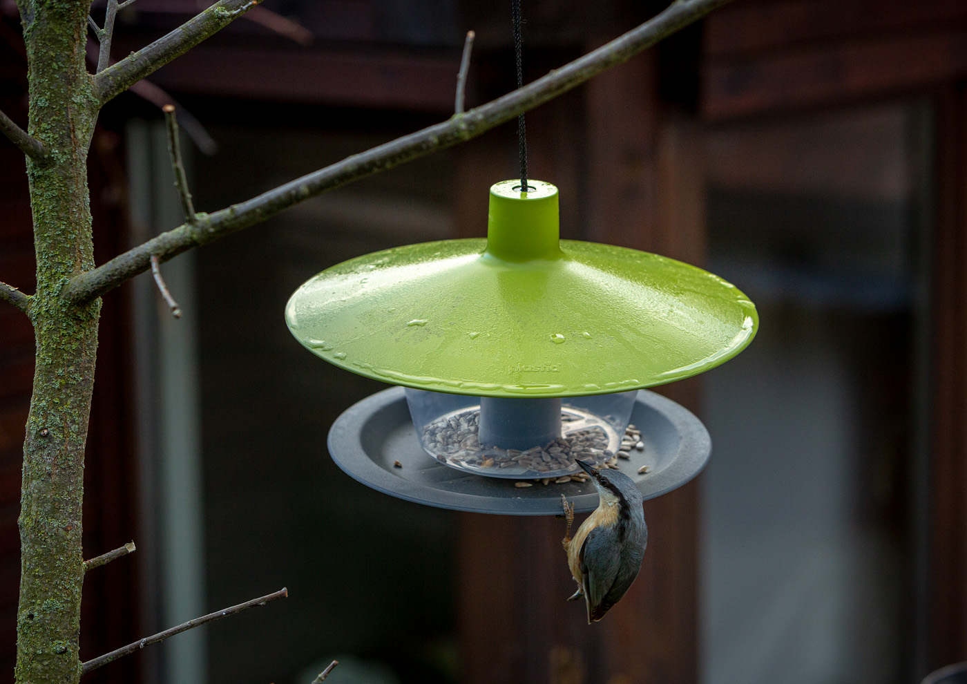 Vogelfutterhaus mit grünem Dach, hängend dargestellt.